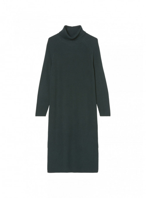 Dress, longsleeve, turtle neck